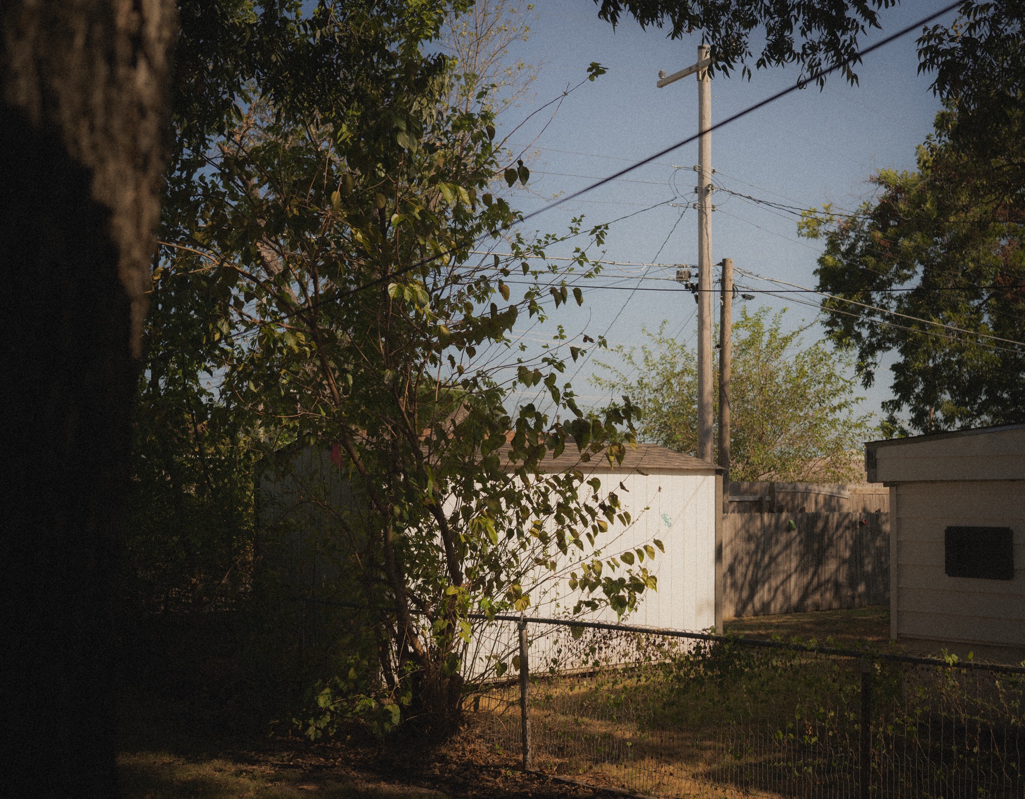 Overgrowth collection photograph 1