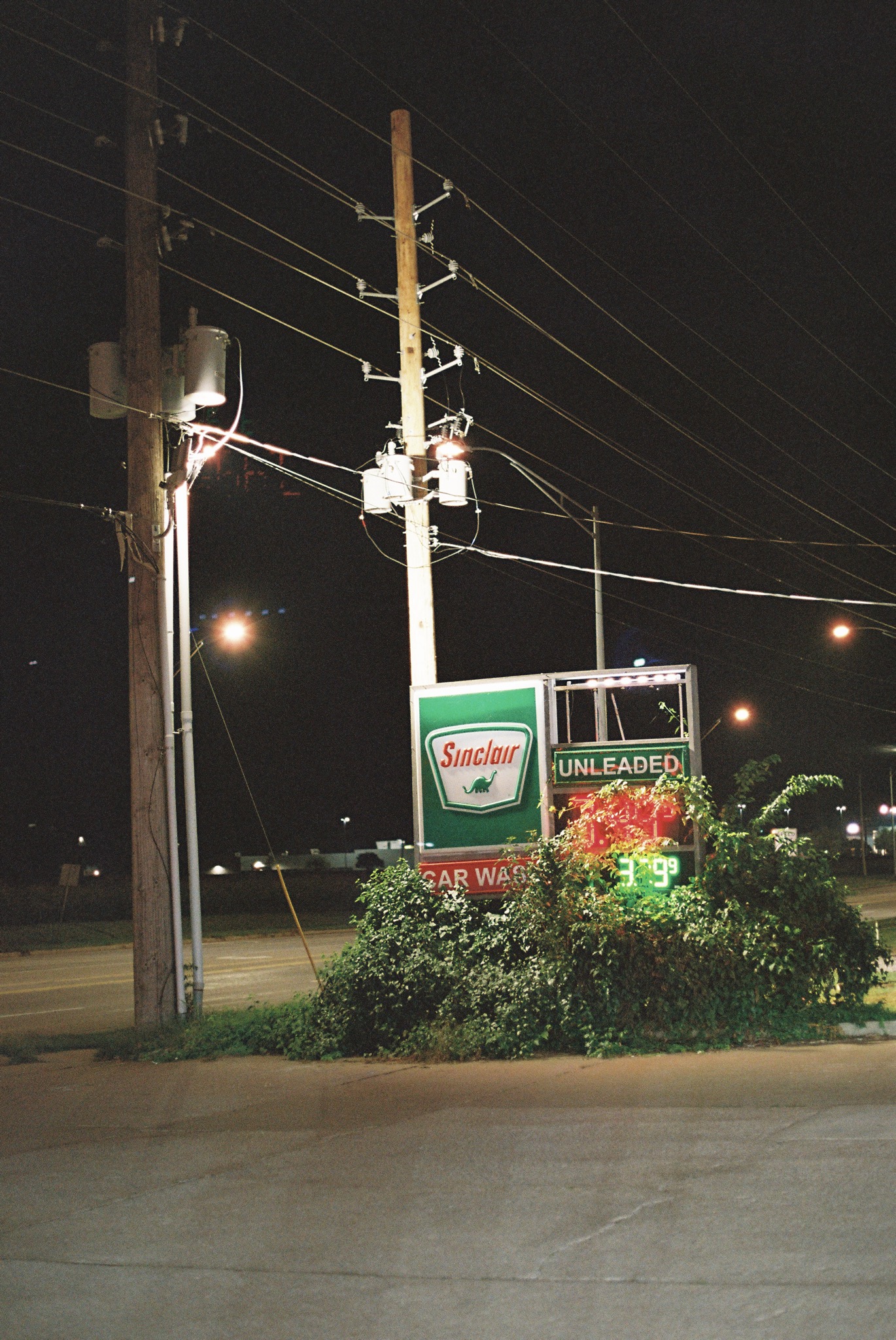Overgrowth collection photograph 3