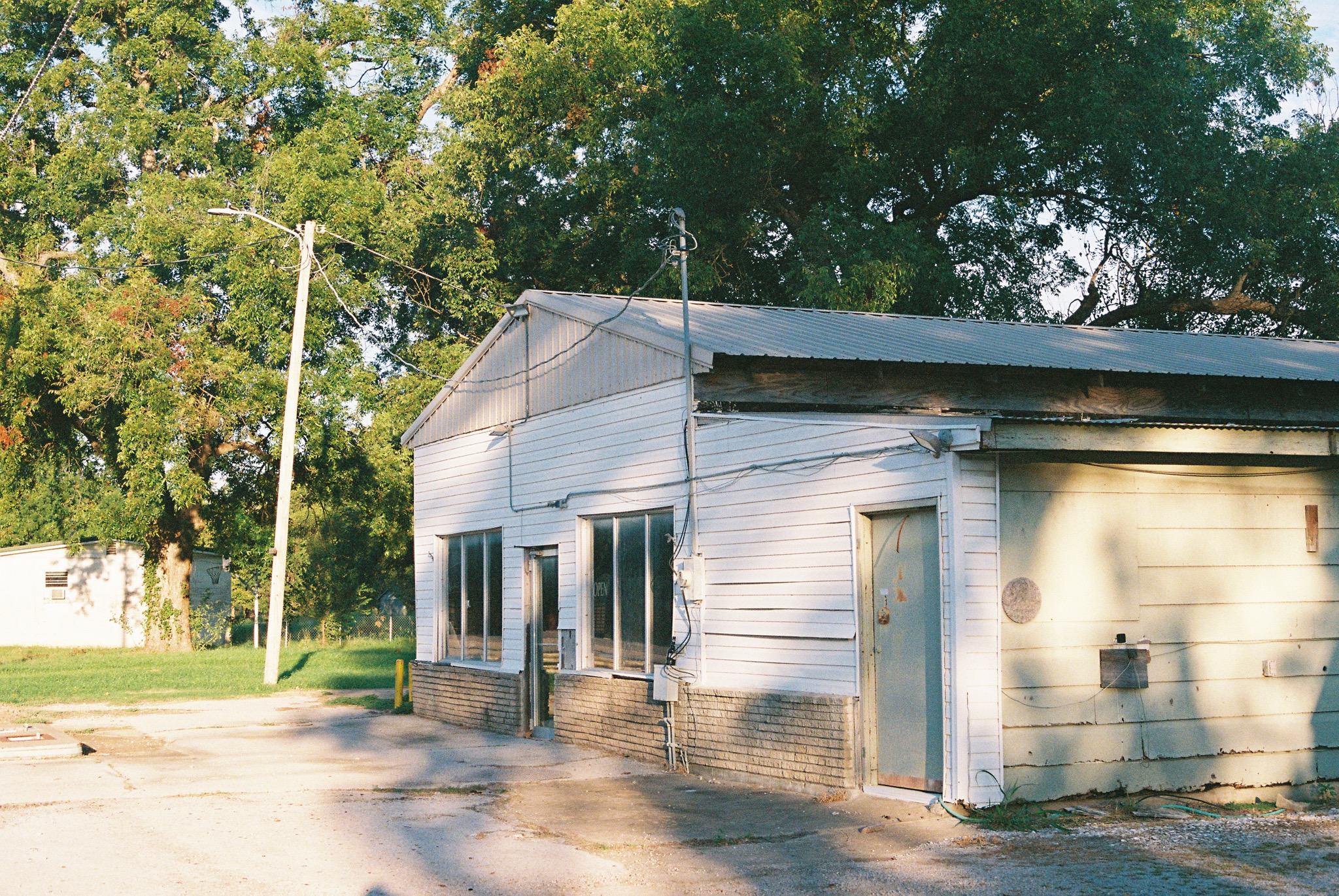 Overgrowth collection photograph 5