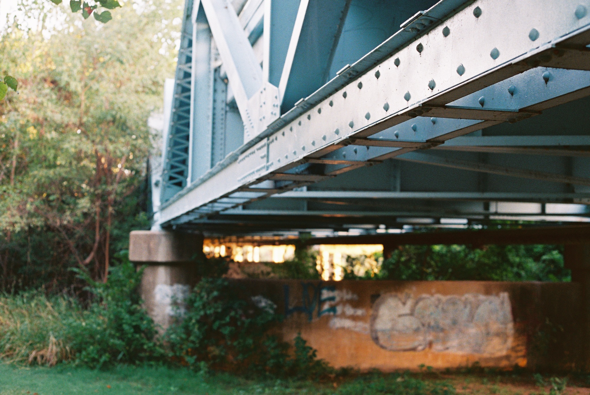 Overgrowth collection photograph 6